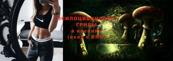 соль ск Аркадак