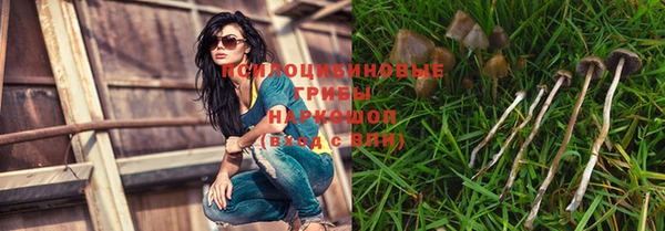 соль ск Аркадак