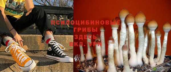 молекула духа Армянск